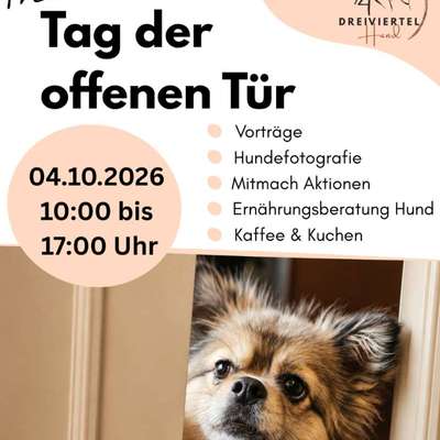 Hundetreffen-Tag der offenen Tür-Bild