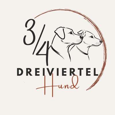 Hundeschulen-Dreiviertel Hund-Bild