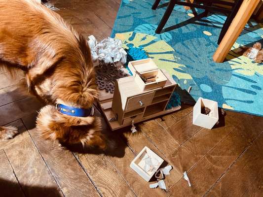 Beschäftigung zu Hause-Beitrag-Bild