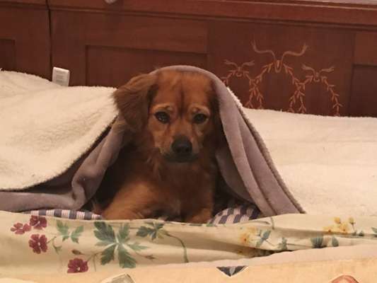 Lustige Bilder-Beitrag-Bild