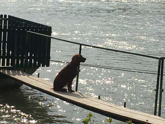 Eure Strandbilder :)-Beitrag-Bild