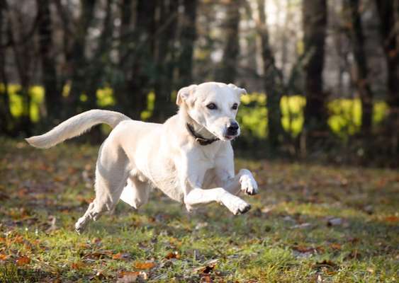 Fotochallenge Nr. 67: Euer Lieblingsbild-Beitrag-Bild