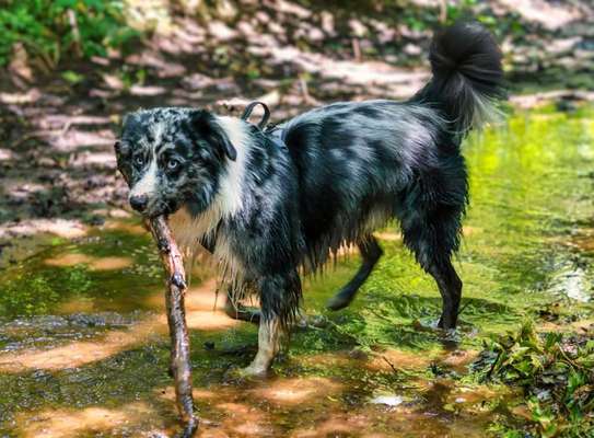 Austausch zur Fotografie-Beitrag-Bild