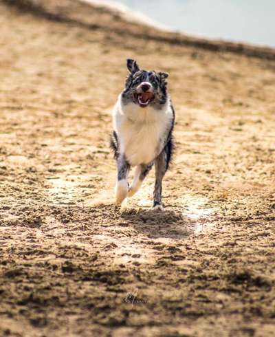 Austausch zur Fotografie-Beitrag-Bild