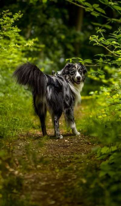 Austausch zur Fotografie-Beitrag-Bild