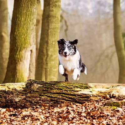 Austausch zur Fotografie-Beitrag-Bild