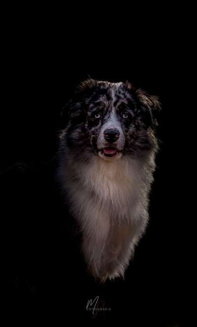 Austausch zur Fotografie-Beitrag-Bild