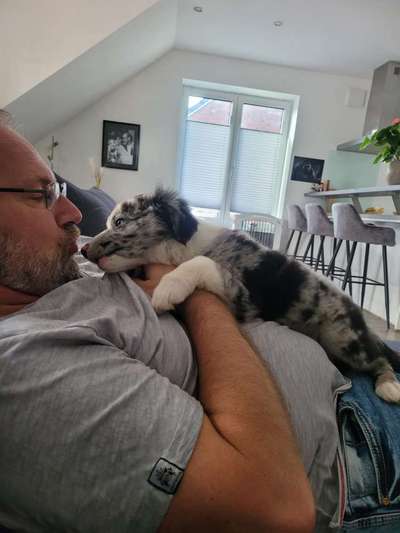 Foto-Challange: Schmuse-/Kuschel-/Ruhemodus-Beitrag-Bild