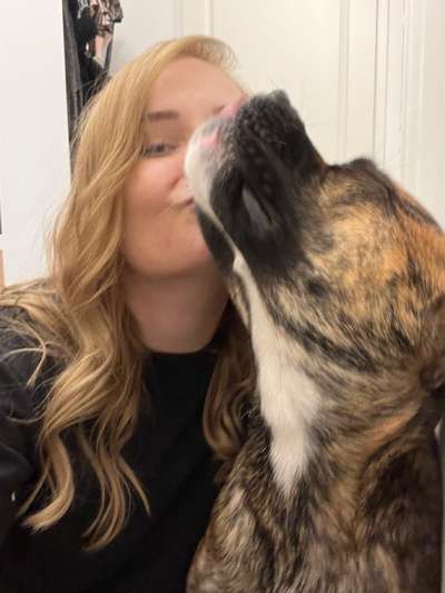 Dogorama Photo Challenge - Selfie Time!-Beitrag-Bild