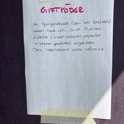 Giftköder-Giftköder im kleinen Waldpark-Bild
