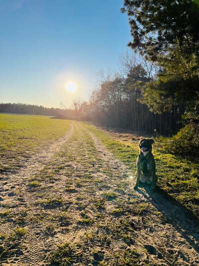 Dogorama Photo Challenge - Der Frühling kommt-Beitrag-Bild