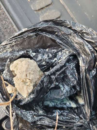 Giftköder-Giftköderverdacht-Bild