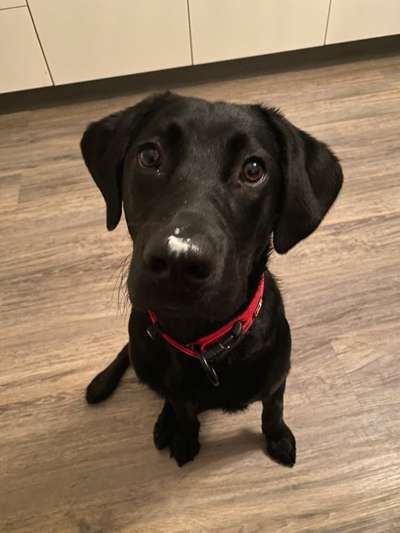 Lieblingsbild-Beitrag-Bild