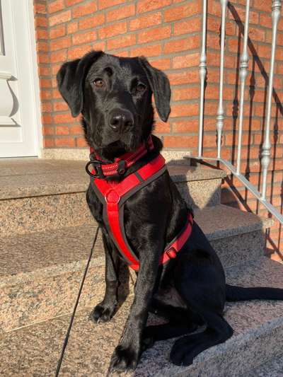 Lieblingsbild-Beitrag-Bild