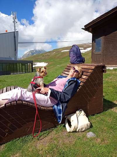 Hundmenschfotos-Beitrag-Bild