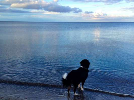 Fotowettbewerb Natur-Beitrag-Bild