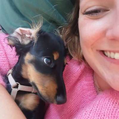 Hundetreffen-Spielstunde für Molly-Profilbild