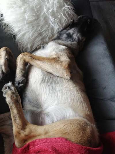 Die unbequemsten und lustigsten Schlafpositionen-Beitrag-Bild