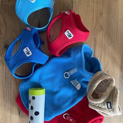 Neuwertige Geschirre Gr. S-Beitrag-Bild