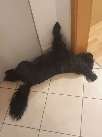 Die unbequemsten und lustigsten Schlafpositionen-Beitrag-Bild