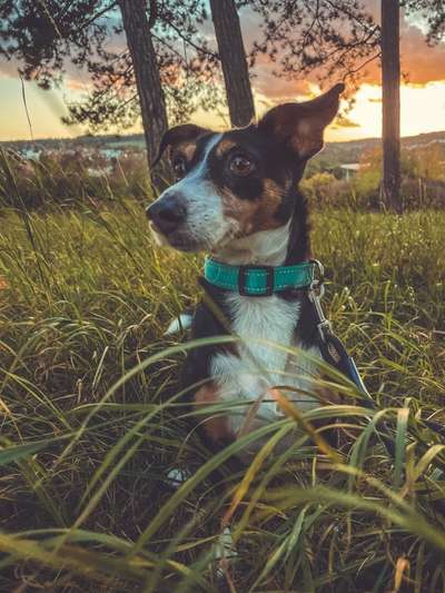 Fotochallenge Nr. 62 Romantische Momente-Beitrag-Bild