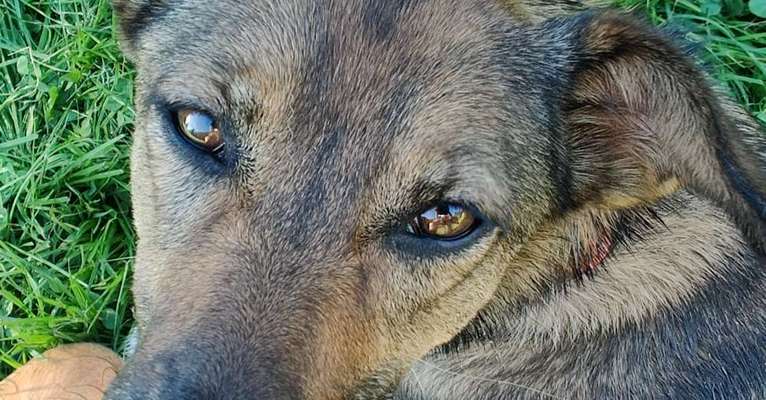 150. Foto Challaenge:  Die Augen, der Spiegel der Seele-Beitrag-Bild