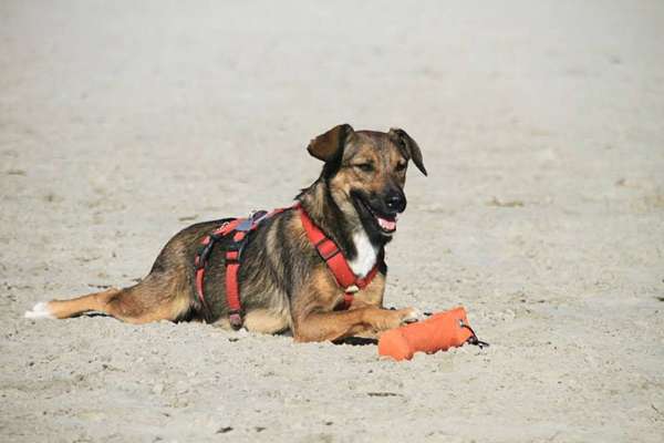 19. Farben  Fottochallenge :
Lieblingsfarbe-Beitrag-Bild