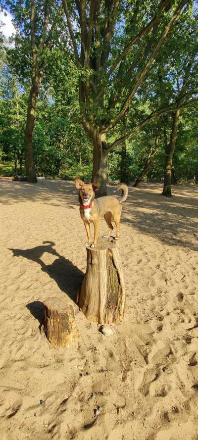 Doppelgänger gesucht !-Beitrag-Bild
