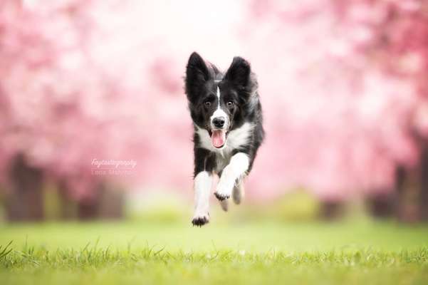 17. Farben Foto Challenge: Pastellfarben-Beitrag-Bild