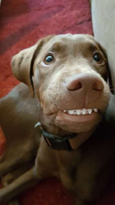 Challenge Nr. 10: "Das schönste Lächeln"-Beitrag-Bild