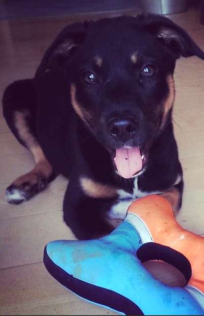 Foto Challenge 3-Beitrag-Bild