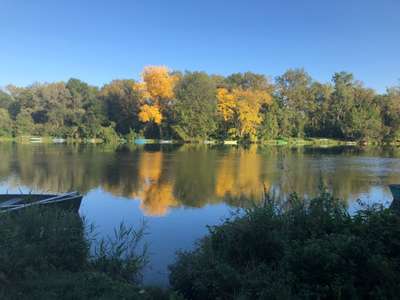 Hundeauslaufgebiet-Isar Au-Bild