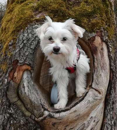 Lieblingsbild :D-Beitrag-Bild