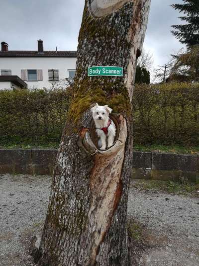 Lieblingsbild :D-Beitrag-Bild