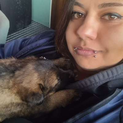 Hundetreffen-Gassirunden in Wittenberge ab 15.06