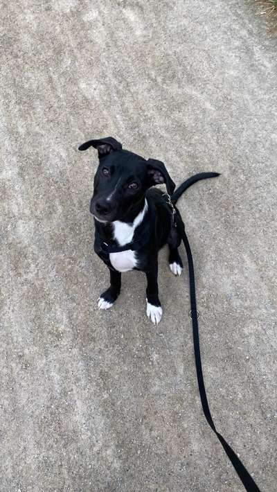 Theos  Fotochallenge Nummer 2-Beitrag-Bild