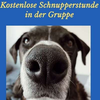 Giftköder-Kostenlose Schnupperstunde-Bild