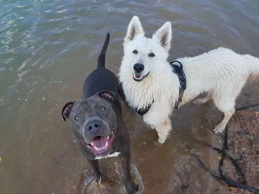 Vorurteile-Beitrag-Bild