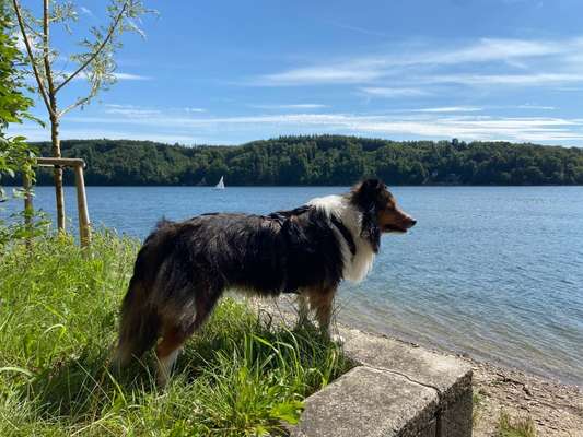 Ist das ein...?-Beitrag-Bild