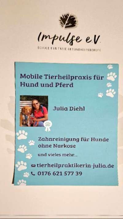 %{de_profession_title}-Zahnreinigung für Hunde ohne Narkose-Bild