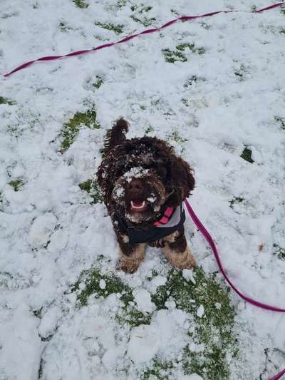 aktuelles Foto Gruppe Doodles Hamburg