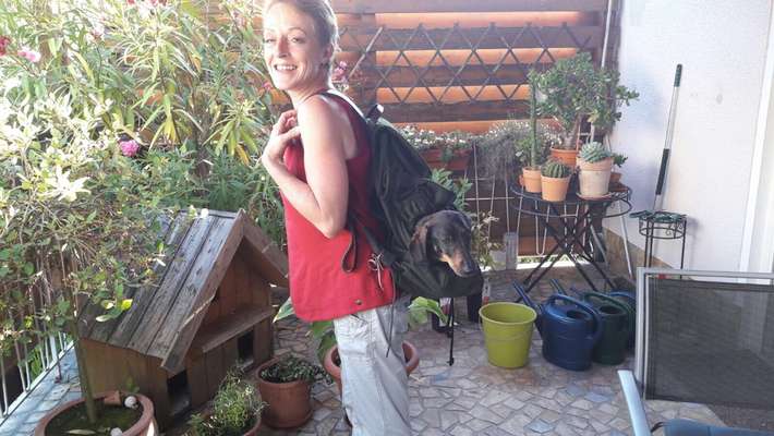 Challenge 33 - Du und dein Hund-Beitrag-Bild