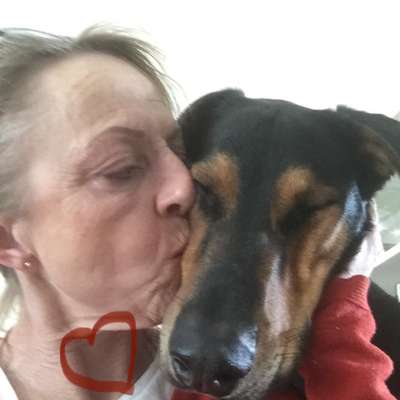 !!SELFIE MIT DEINEM LIEBLING!!-Beitrag-Bild