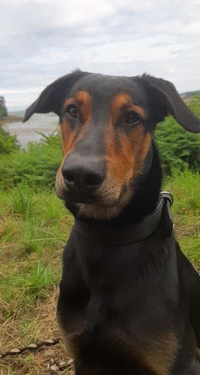 Fotochallange Nr. 57     PORTRÄT.   Beendet!!!!!!!!-Beitrag-Bild