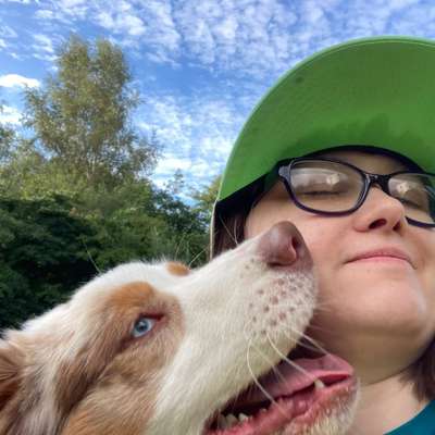 Hundetreffen-Regelmäßige Social walks-Profilbild