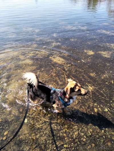 Fotochallenge 27-Beitrag-Bild