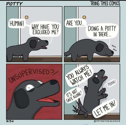 Hunde Memes-Beitrag-Bild