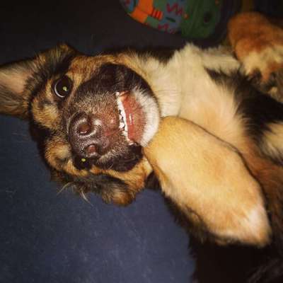 Immer lächeln !-Beitrag-Bild