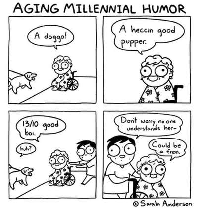 Hunde Memes-Beitrag-Bild