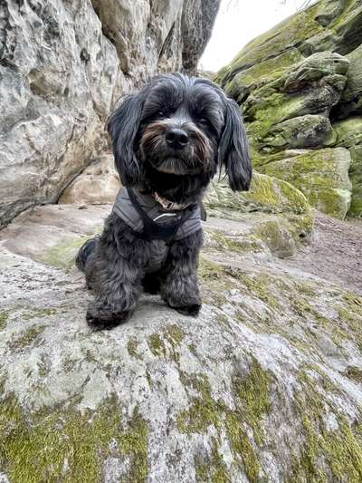 Fotochallenge No. 26                                     Wald und Wiese-Beitrag-Bild